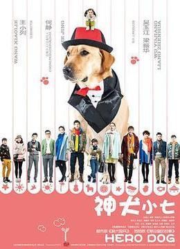 神犬小七 第一季DVD版