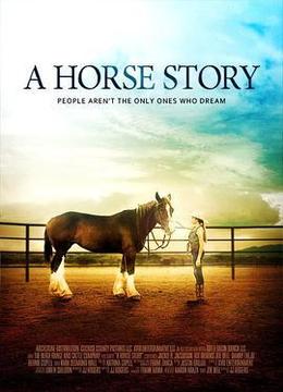 马的故事 A Horse Story