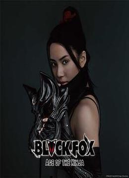 黑狐：忍者时代 BLACKFOX: Age of the Ninja